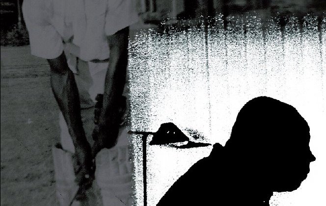 The Making of a Judge movie poster